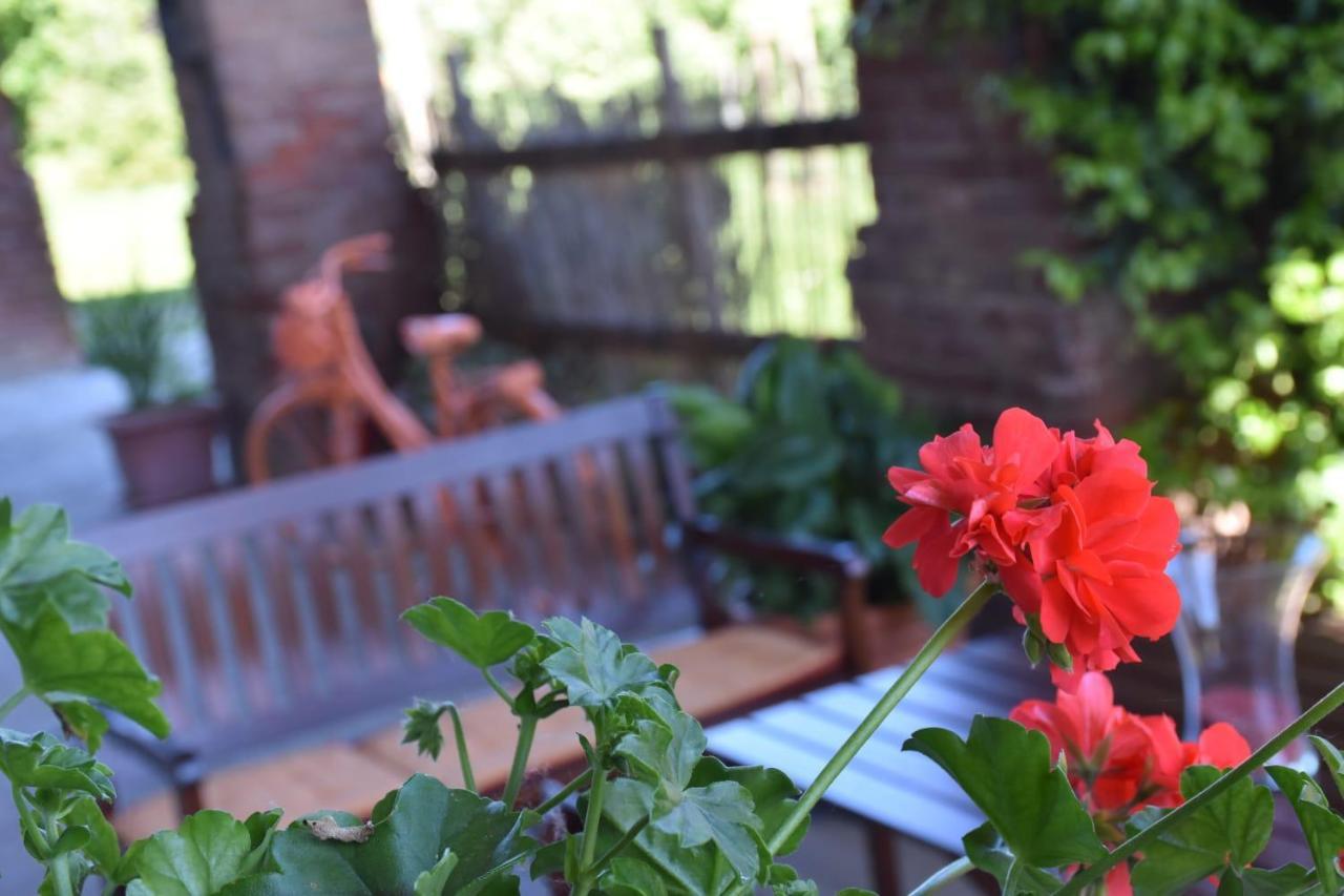 Bed and Breakfast La casa di Enzo Lequio Tanaro Esterno foto